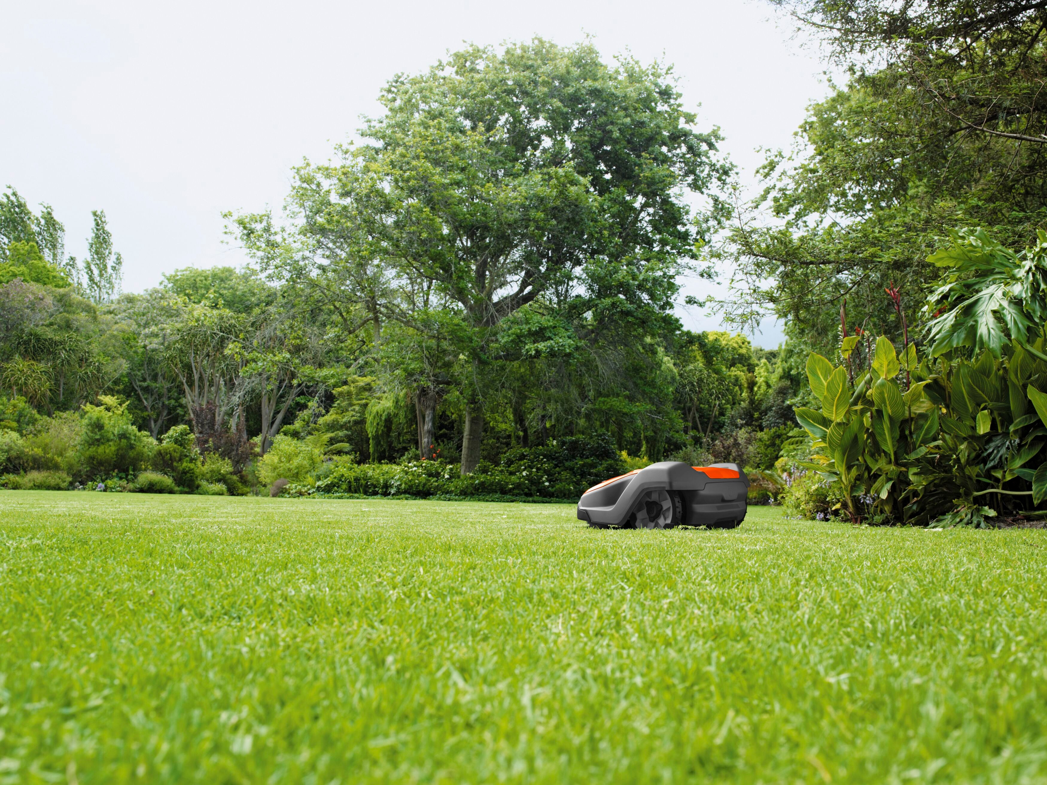 Rasenpflege-Kalender