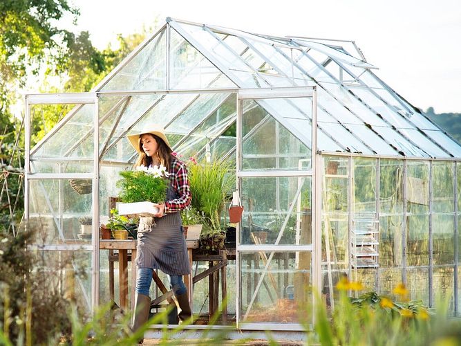 5 Tipps für das Gewächshaus im Frühling