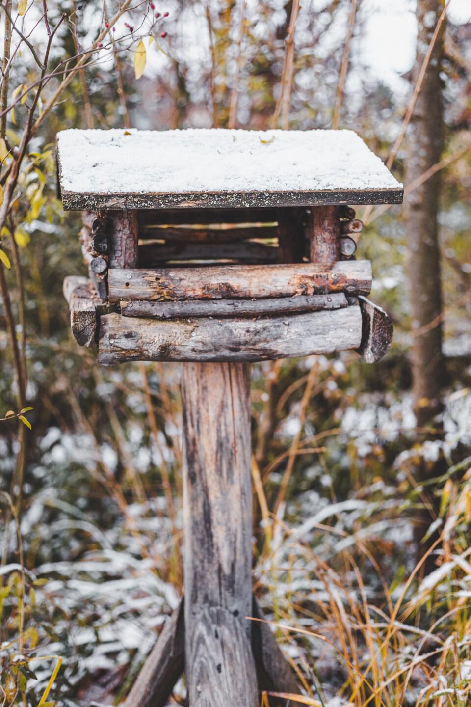 Vogelhäuschen aus Holz mit Schnee auf dem Dach