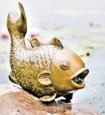 Heissner Teichspeier Big Fish