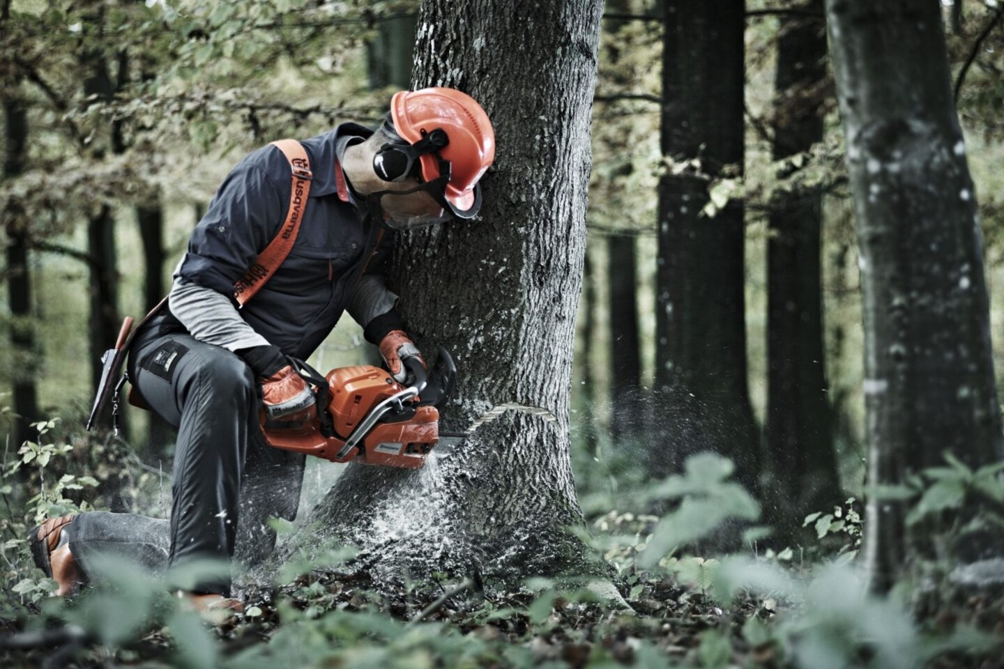 Husqvarna 545FX: kraftvolle Reserven für den Forst!