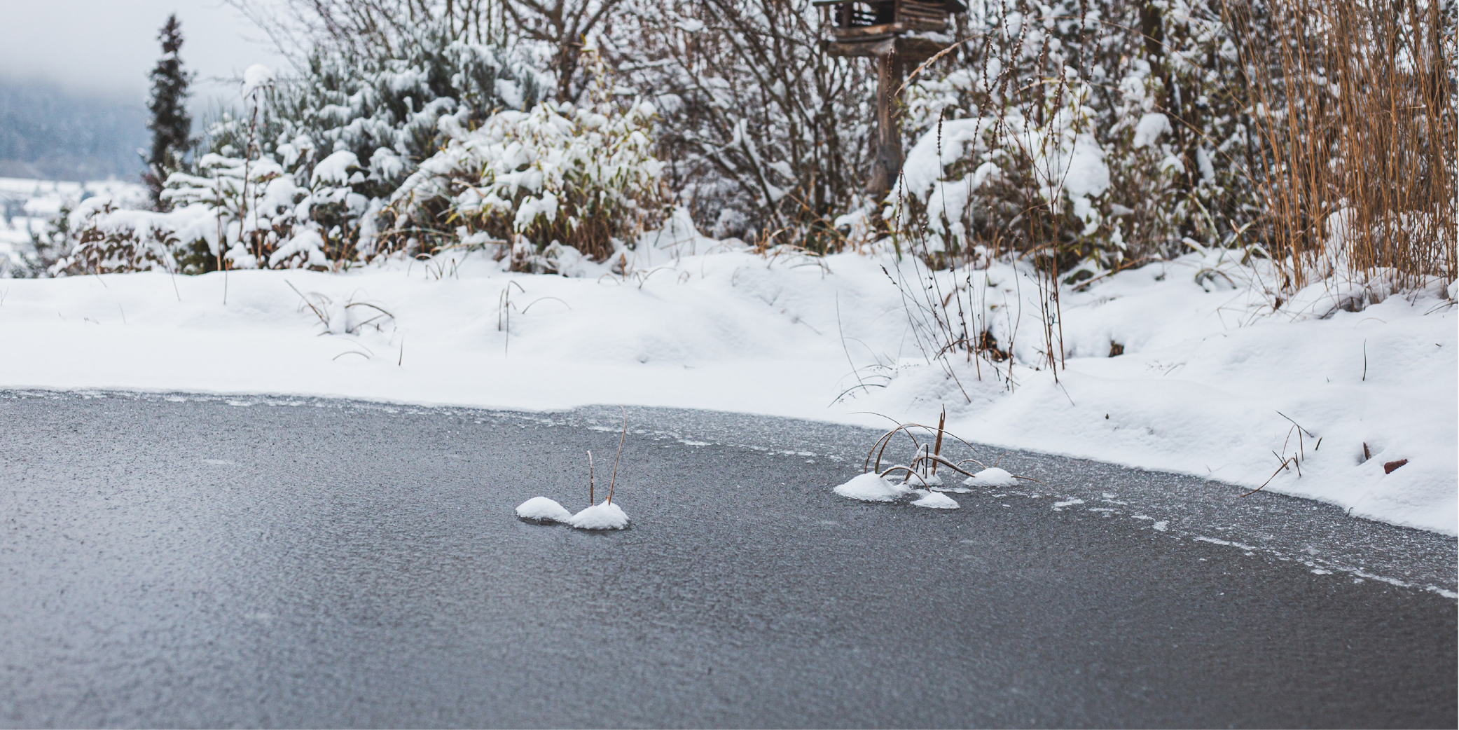 Teichpflege im Winter
