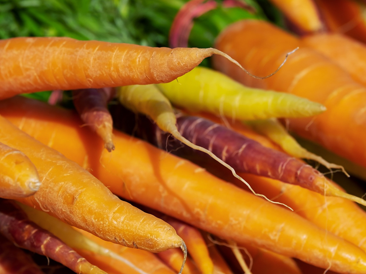 Möhren