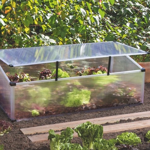 Ein Frühbeet dient vor allem zur Anzucht