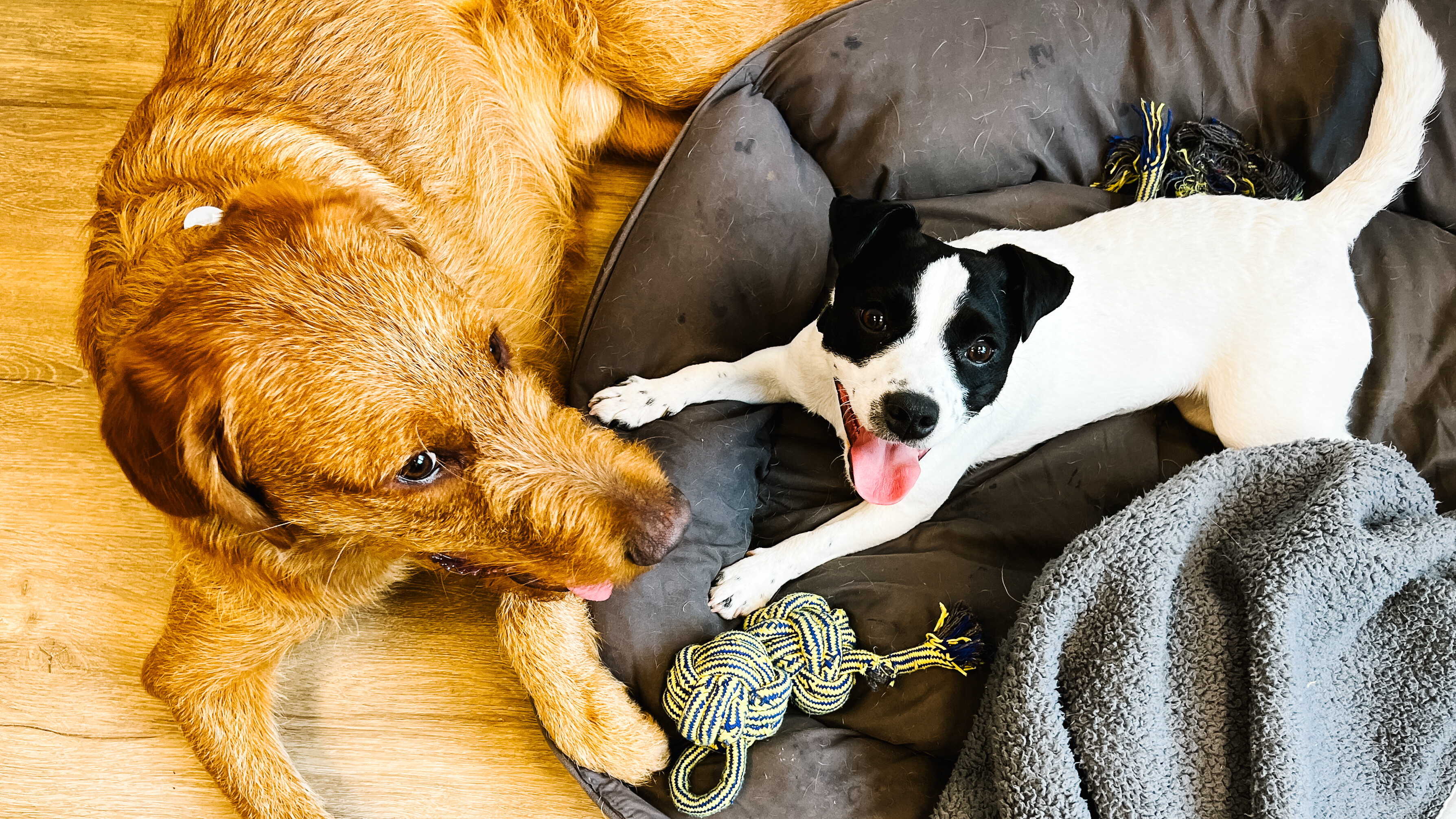 Feel good-Management