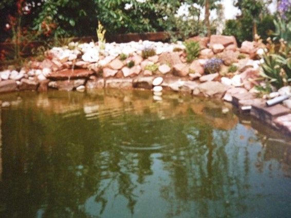 Teich Teich