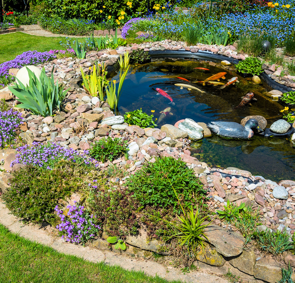 Der Frühling kommt: Teich wieder fit machen!