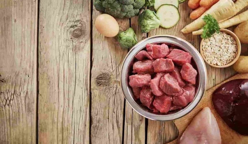 Welches Fleisch eigenes sich am besten? Fleisch und Gemüse