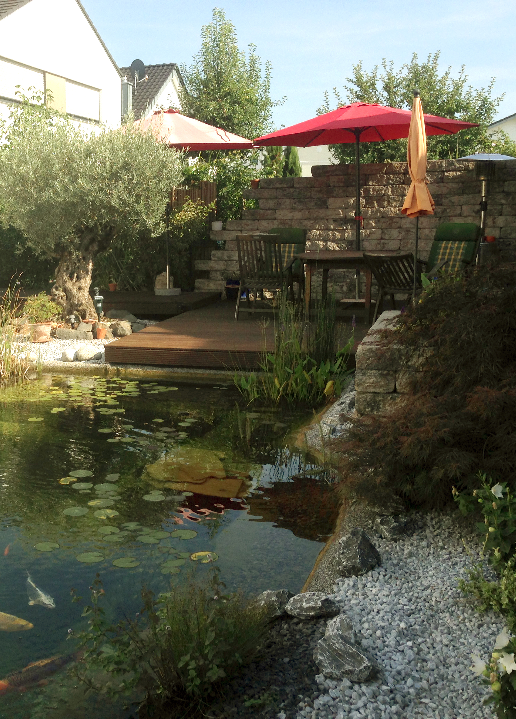 Schicker Koiteich mit interessanten Blickachsen