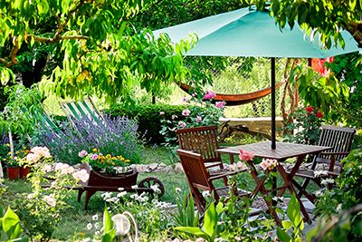 Was wann zu tun ist: Das Gartenjahr kompakt