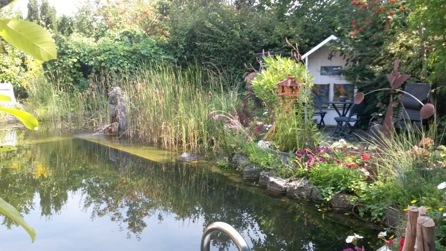 Schwimmteich mit Blick aufs Haus
