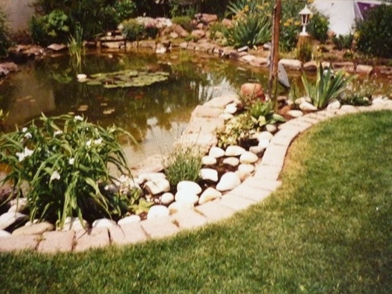 Der Gartenteich kurz nach seiner Fertigstellung 1989 Der Gartenteich kurz nach seiner Fertigstellung 1989