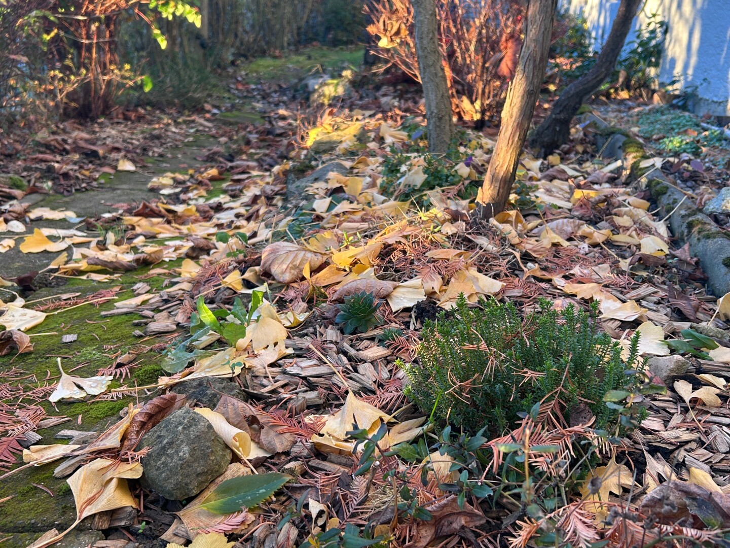 Blumenbeet mit Herbstlaub
