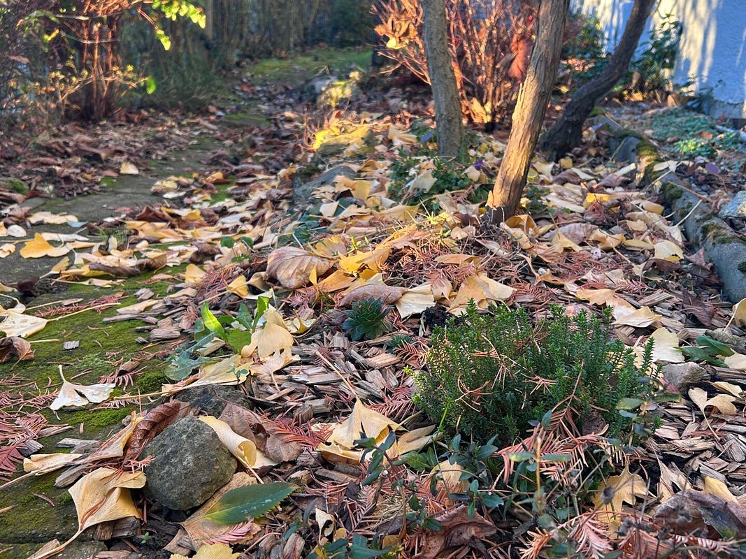 Blumenbeet mit Herbstlaub