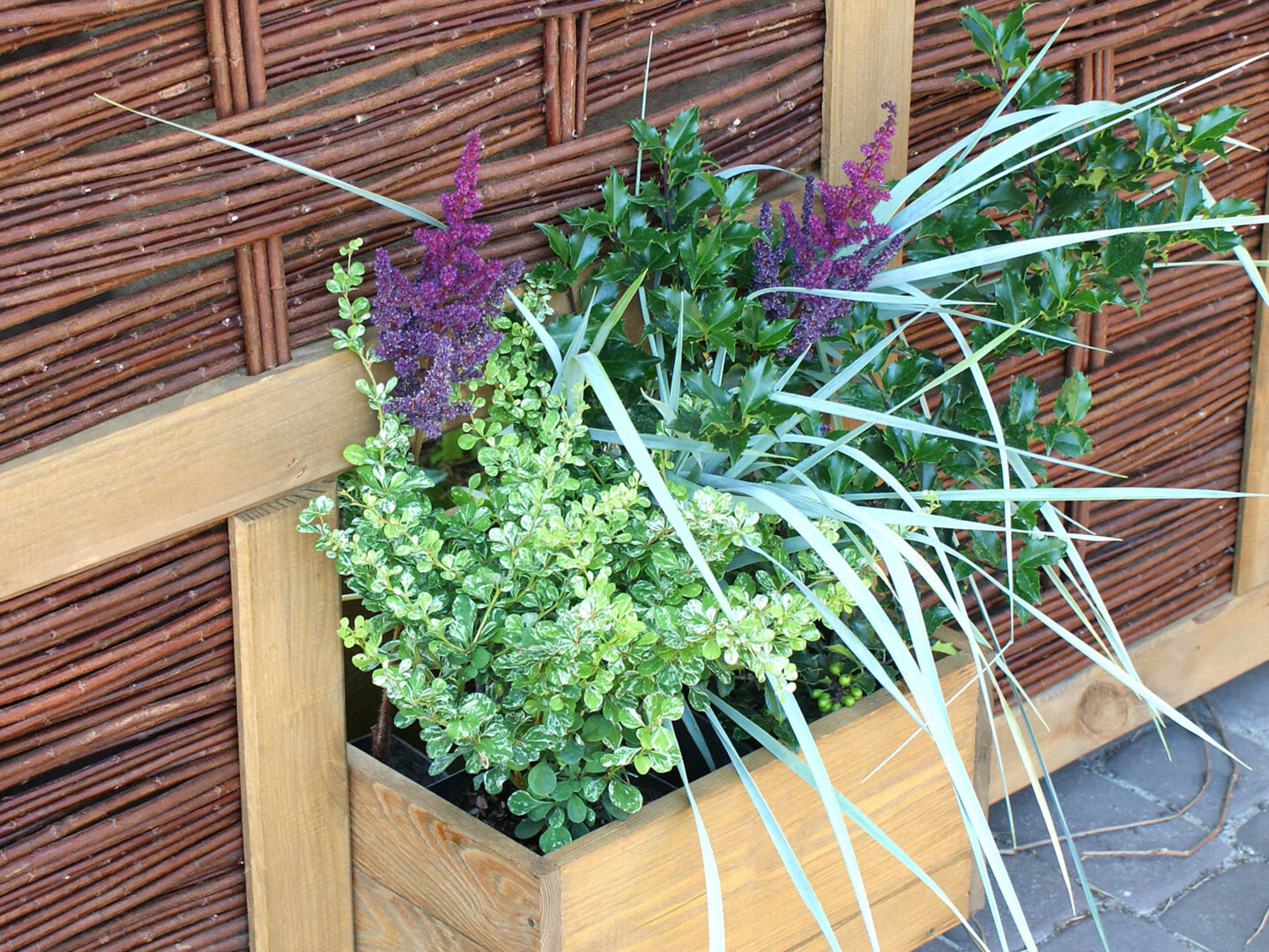 T&amp;J LABO-3D Pflanzkasten für T&amp;J LABO-3D Weidengeflechtzäune