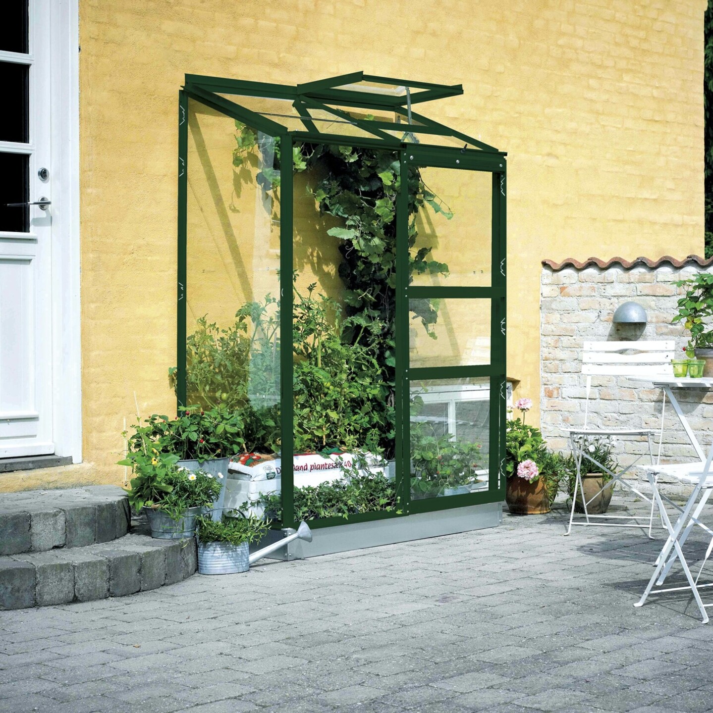Ein Gewächshaus für den Wandanbau