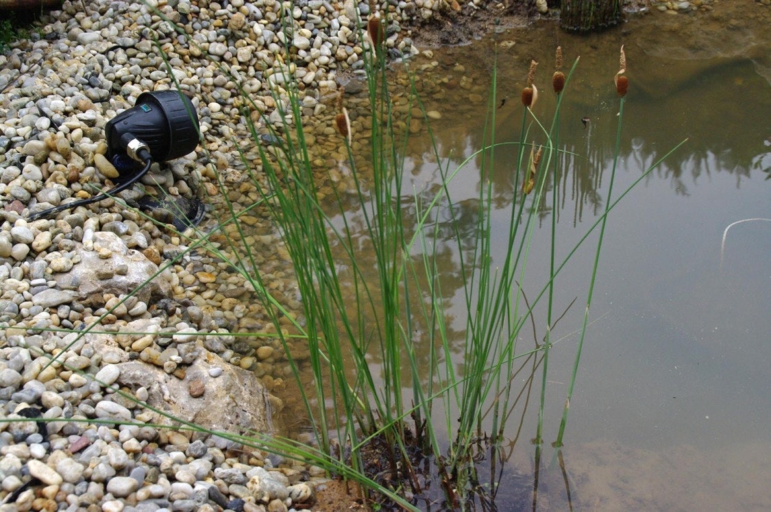 Teichbeleuchtung mit wasserdichten LED-Strahlern Wasserdichter Strahler am Rand des Teiches.