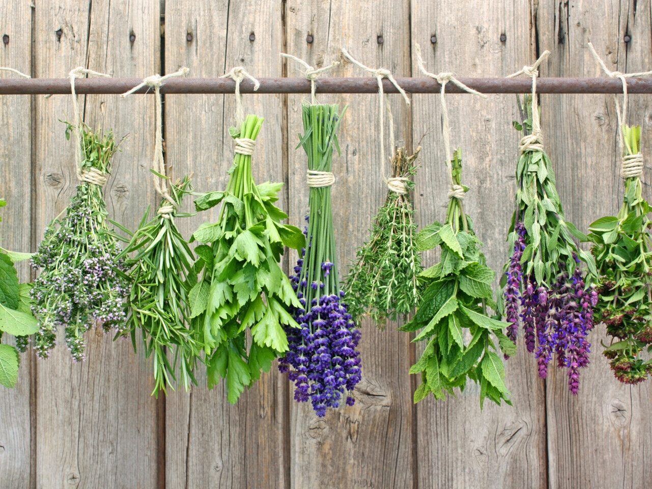 Kräuteraufguss selber machen