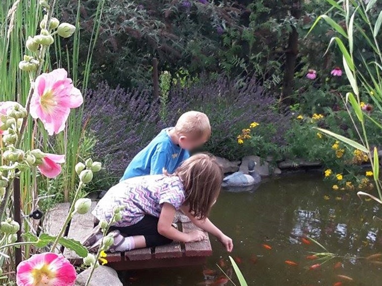 Kinder füttern Goldfische vom Steg aus. Kinder füttern Goldfische vom Steg aus.