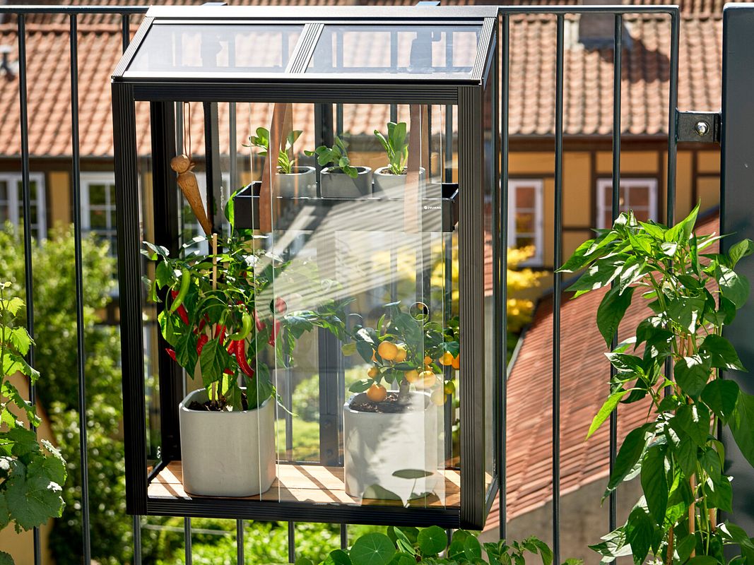 Juliana Gewächshaus Urban Balcony