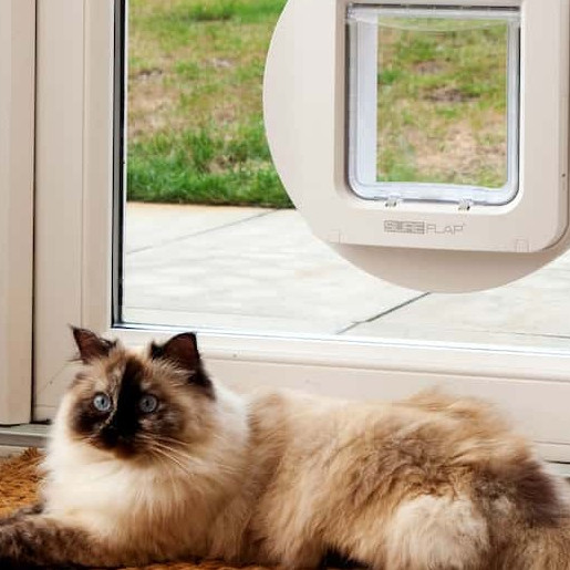 Katzenklappen und Katzentüren