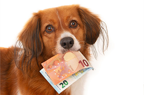 Neukundenrabatt Zoologo