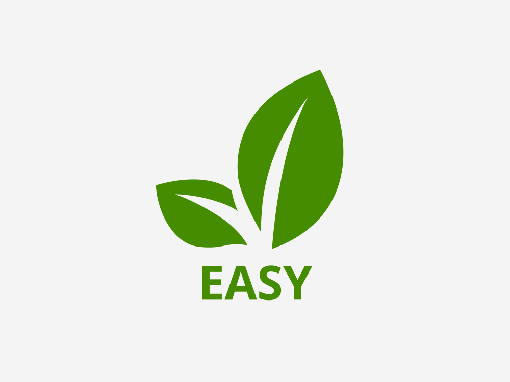 Easy Einfache Pflanzen