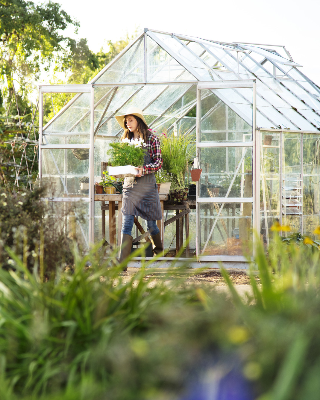 Gewächshaus Kaufberatung Teaser Bild 1