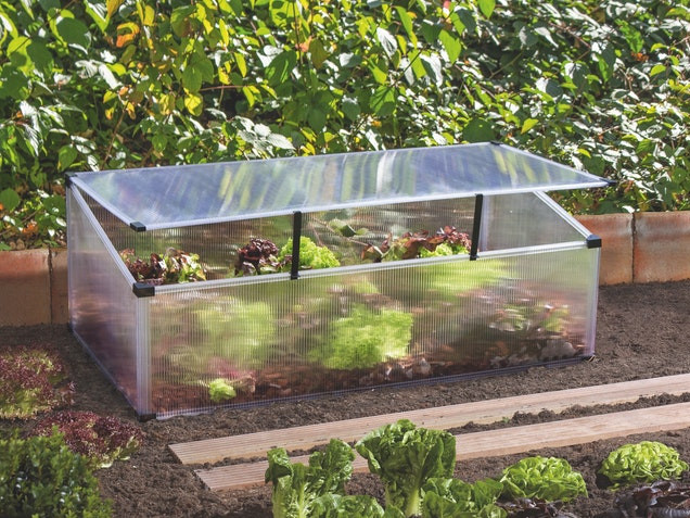 Mit einem Frühbeet kann Salat und anderes Gemüse schon früh im Jahr ausgesät und herangezogen werden