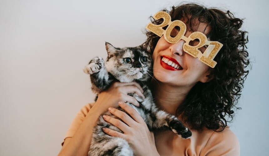 Silvester Mit Katze in Ruhe Silvester feiern