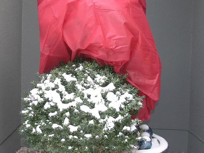 Schutzhüllen für Gartenmöbel, Grills und Pflanzen