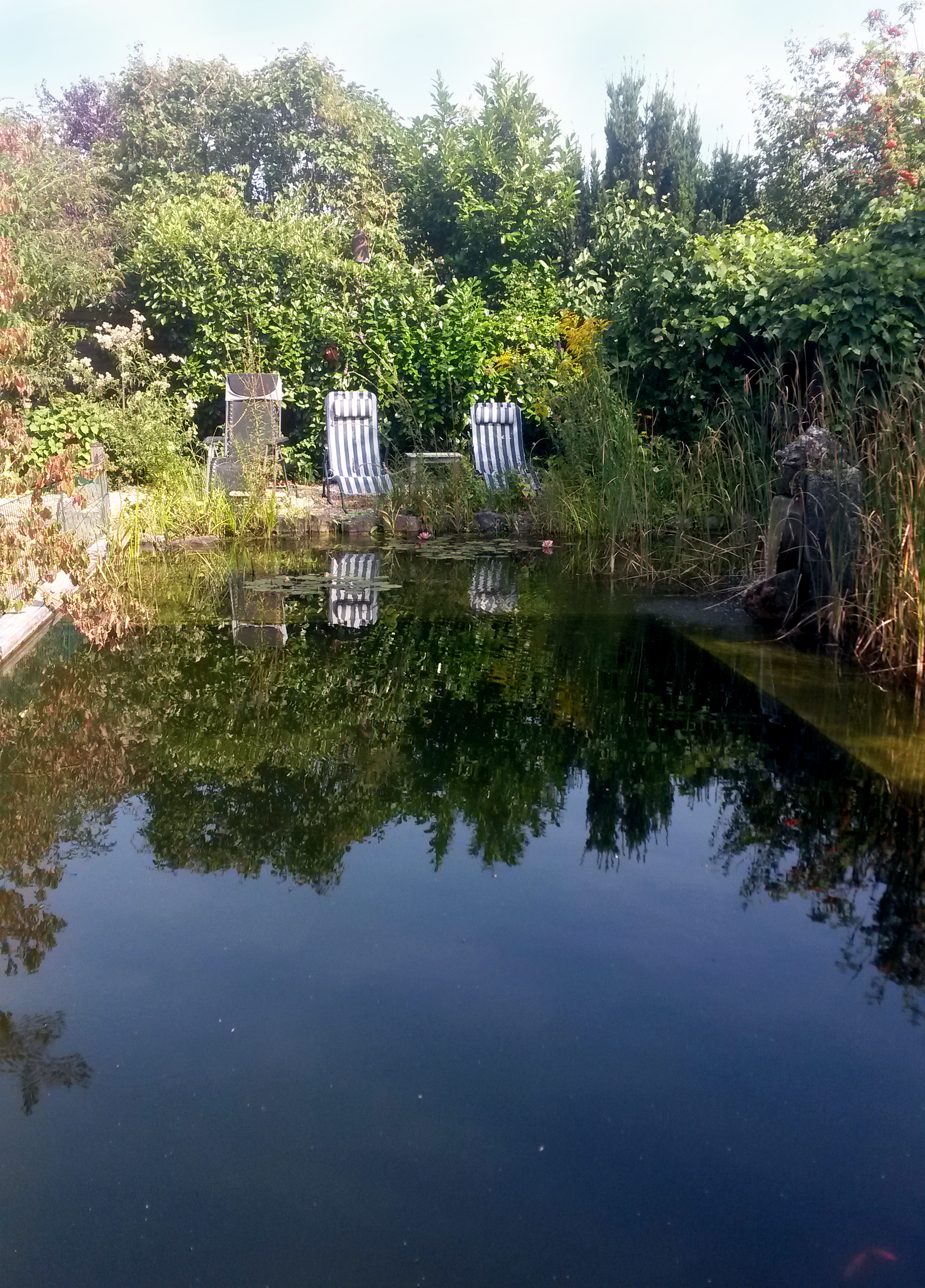 Der Schwimmteich: eine Freude für die Familie!