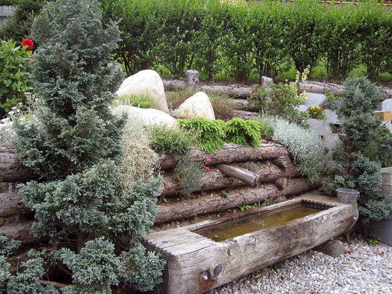 Meine_Gartenoase_JosefG_8