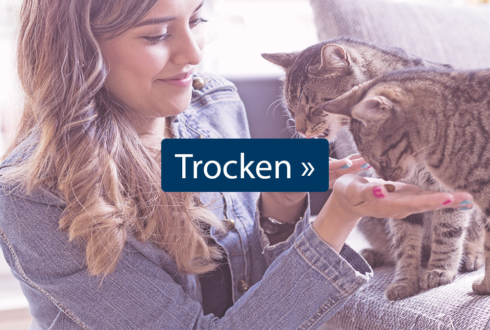 Trockenfutter für Katzen