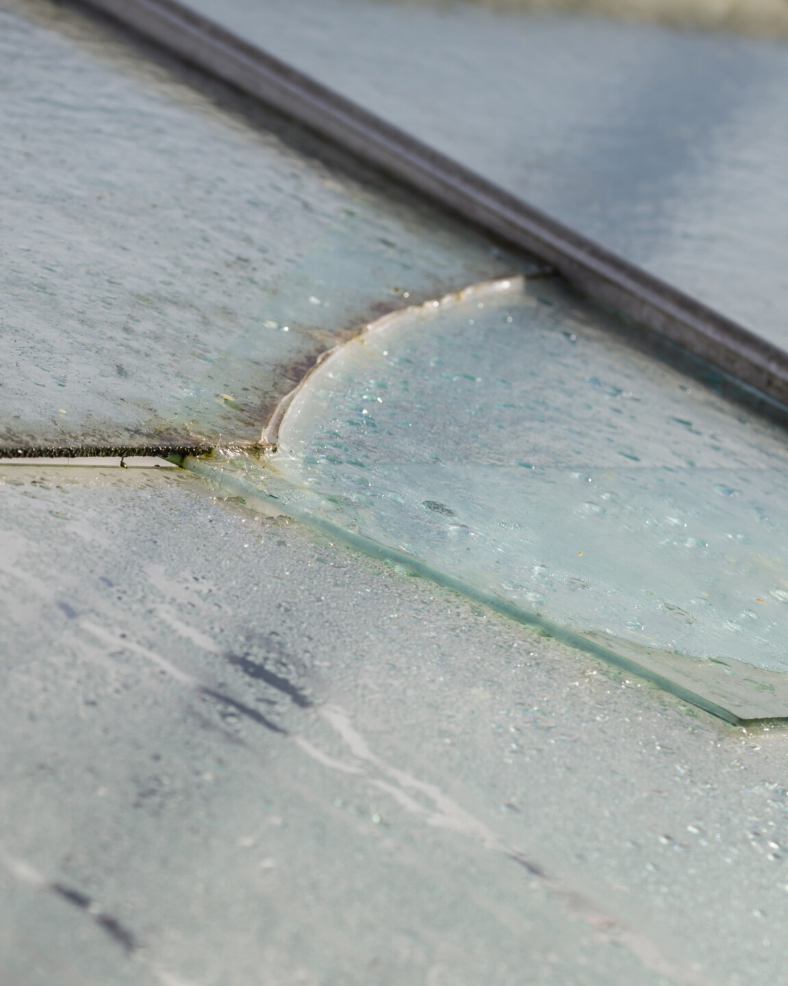 Sie sollten ein Gewächshaus gegen Sturm und Unwetterschäden versichern lassen. Andernfalls können Sie viel Geld verlieren!