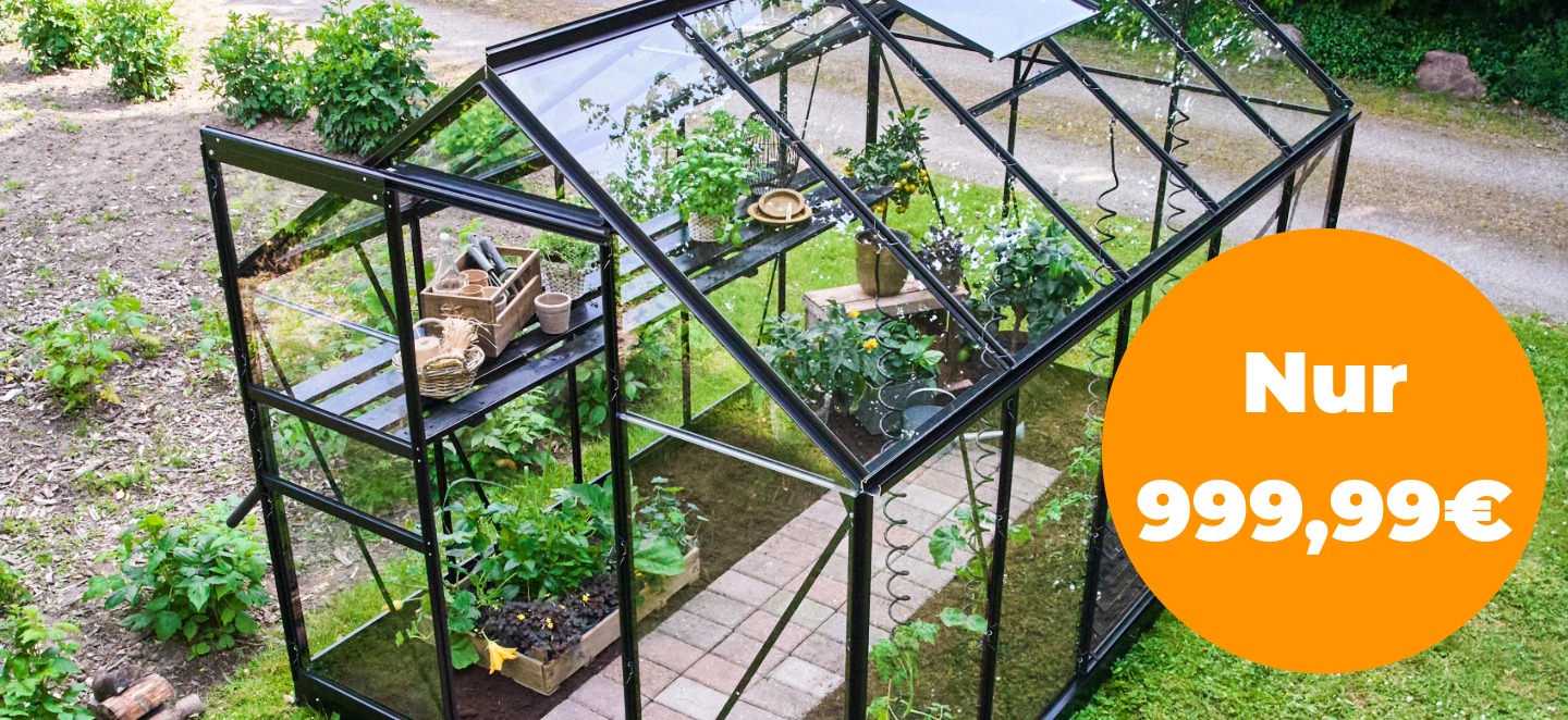 Halls Popular für 999,99€