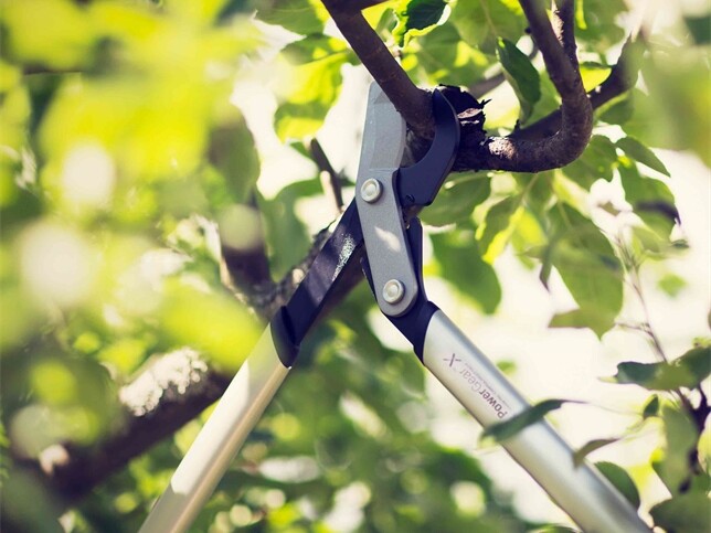 Fiskars PowerGear Byp.GetriebeastschereLX94 64 1020187