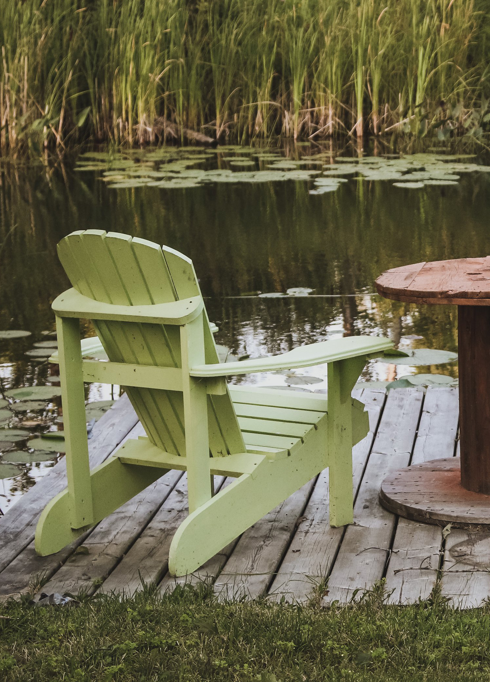 Teichbau leicht gemacht - Schritt für Schritt zum selbst gestalteten Teichparadies