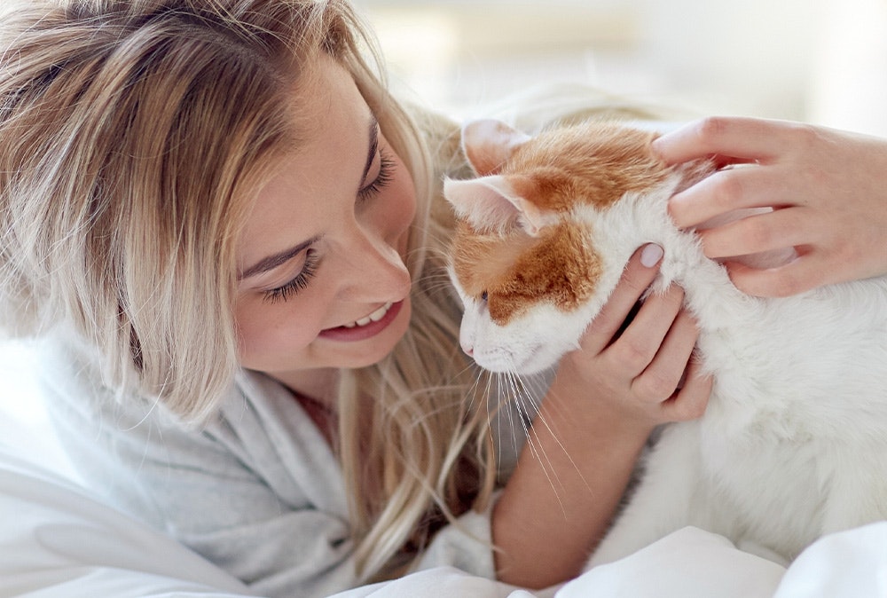 Happy Cat Senior Katzenfutter Senior Katzenfutter von Happy Cat