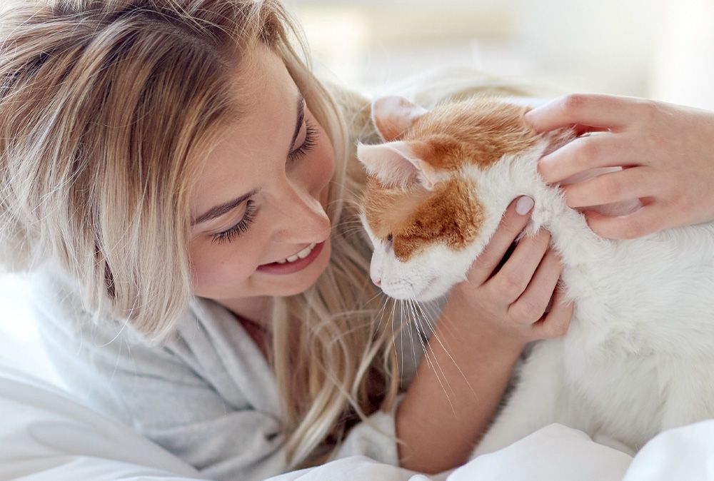 Senior Katzenfutter von Happy Cat