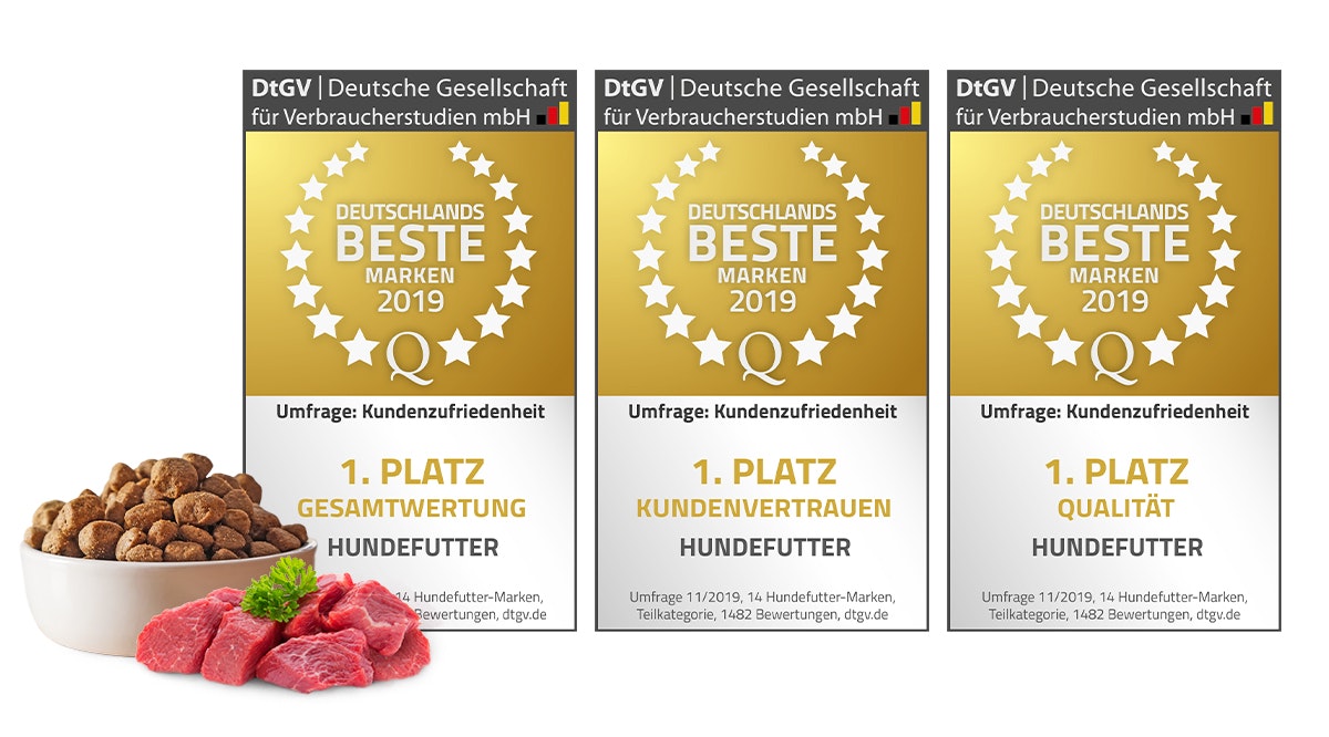 Deutschlands beste Marke Preis: beste Marke Deutschlands 2019