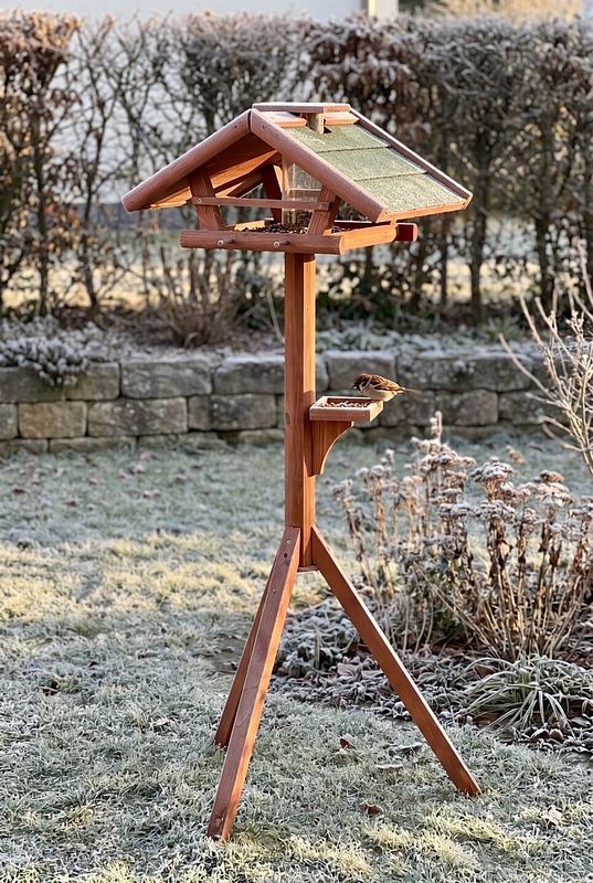 Am Vogelhaus mit Holzständer frisst ein Spatz im frostigen Garten
