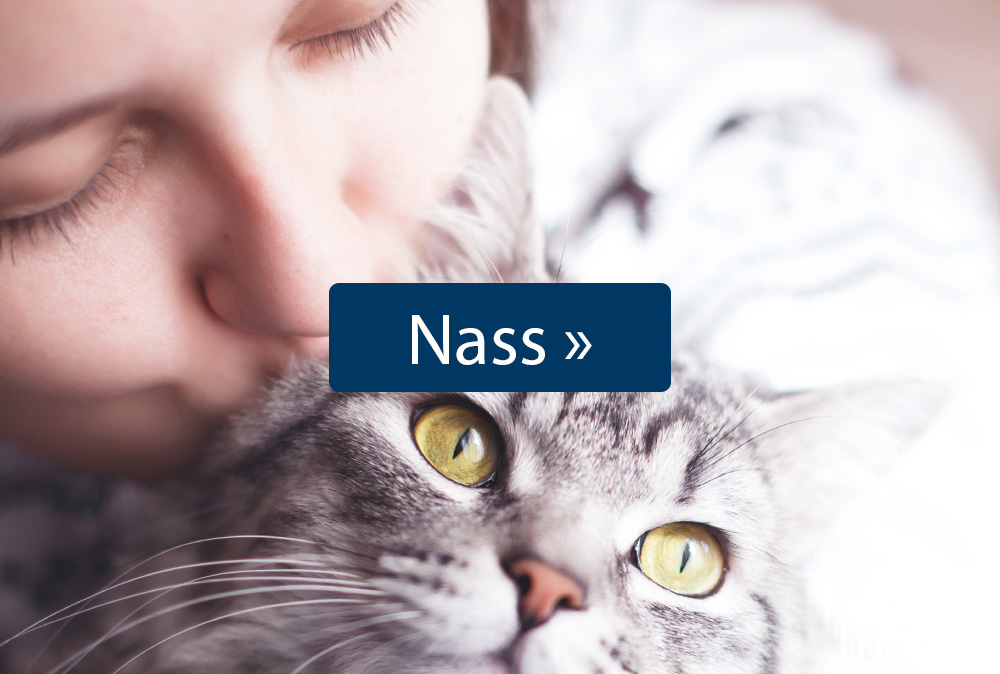 Katzenfutter Nass