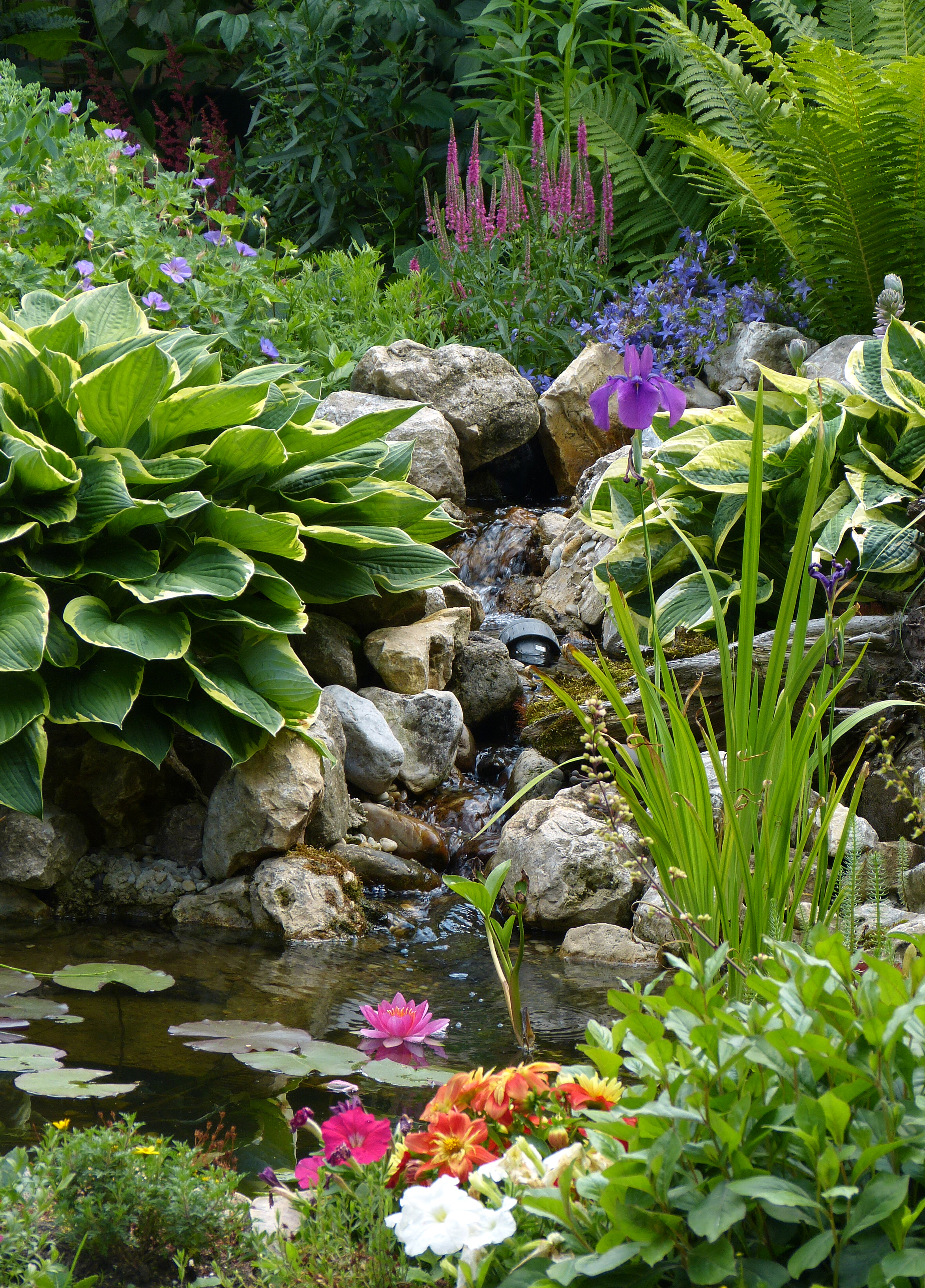 Üppig bepflanzter kleiner Teich mit Bachlauf