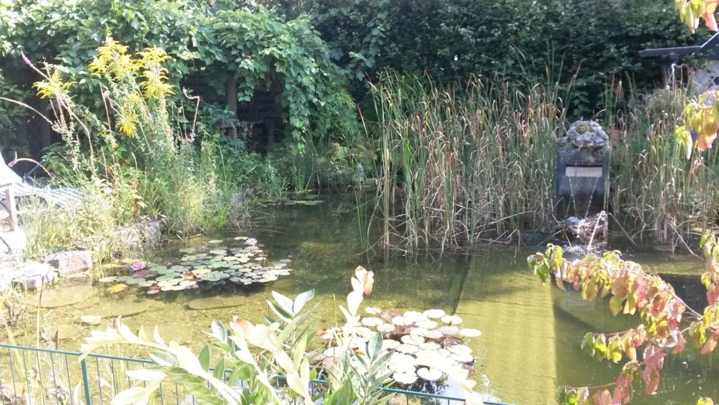 Schwimmteich
