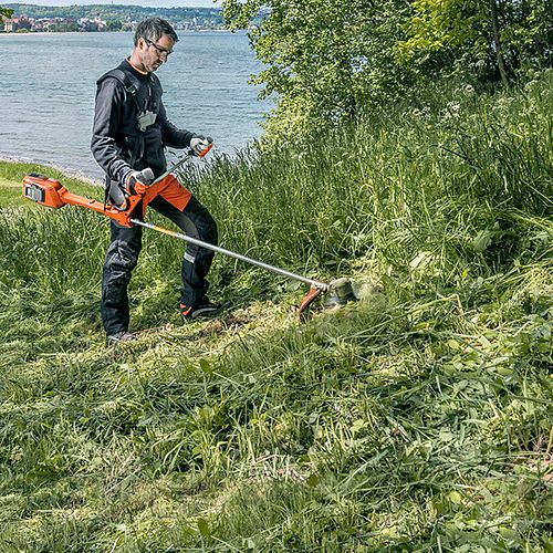 Trimmer oder Motorsense: Was macht für mich Sinn?