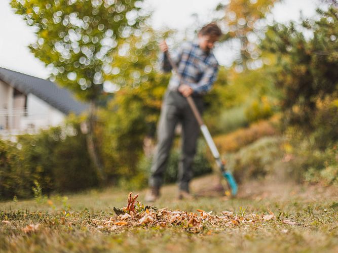 Gartenpflege im Herbst