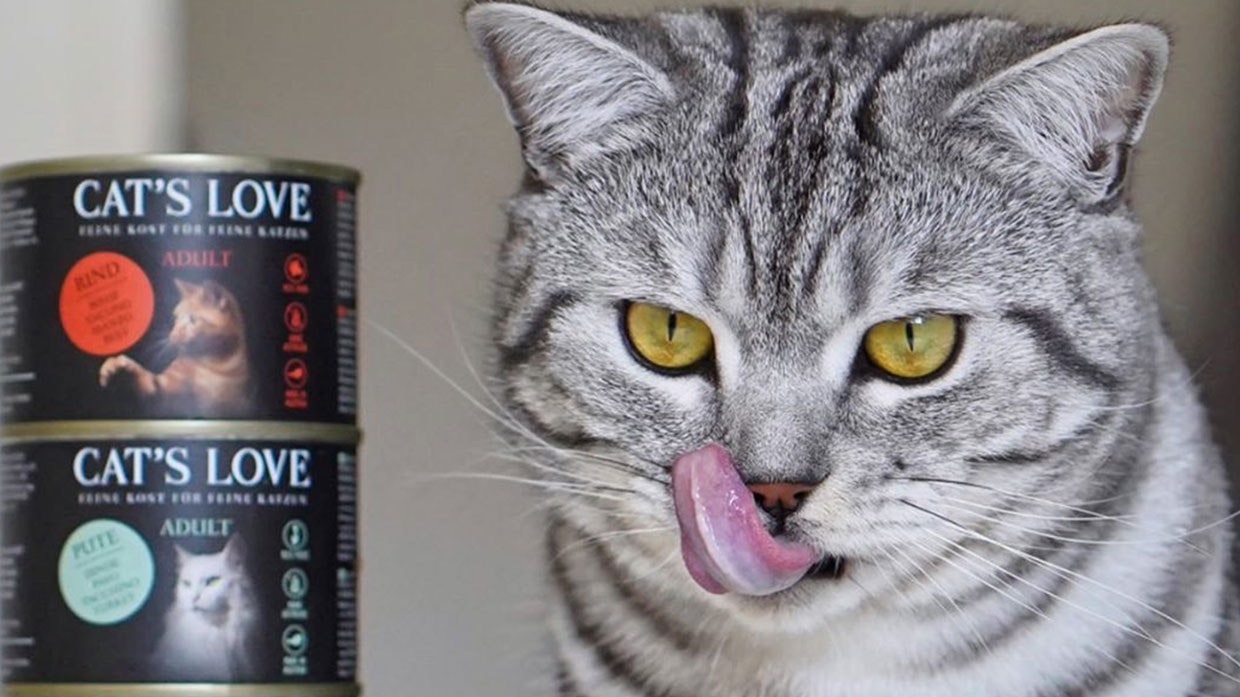 CAT'S LOVE Katzenfutter Katzenfutterdosen von Cat's Love