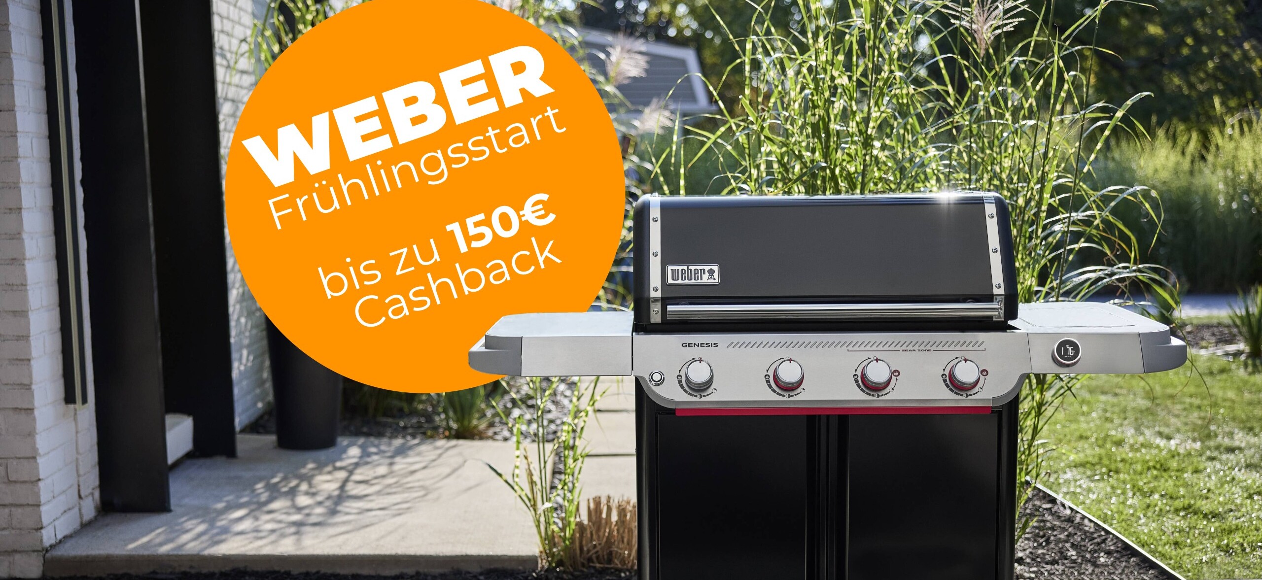 Weber Frühlingsstart