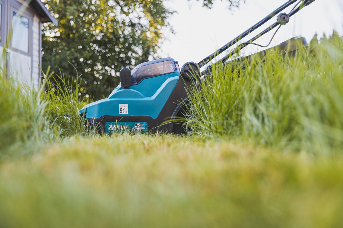 Schafft auch hohes Gras - ein guter Rasenmäher
